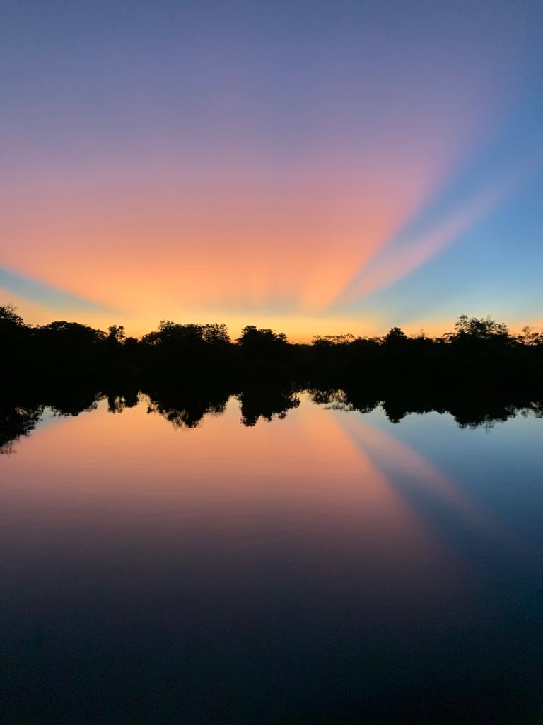 Vent’anni di Amazônia: un impegno per la biodiversità e la sostenibilità 